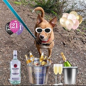 Meet your Posher, Malia